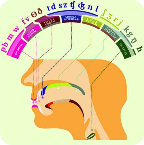 Singers: Why Learn Phonetics? | Timeline Songs